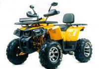 Квадроцикл VOX200 WILD TRACK X PRO (баланс. вал)
